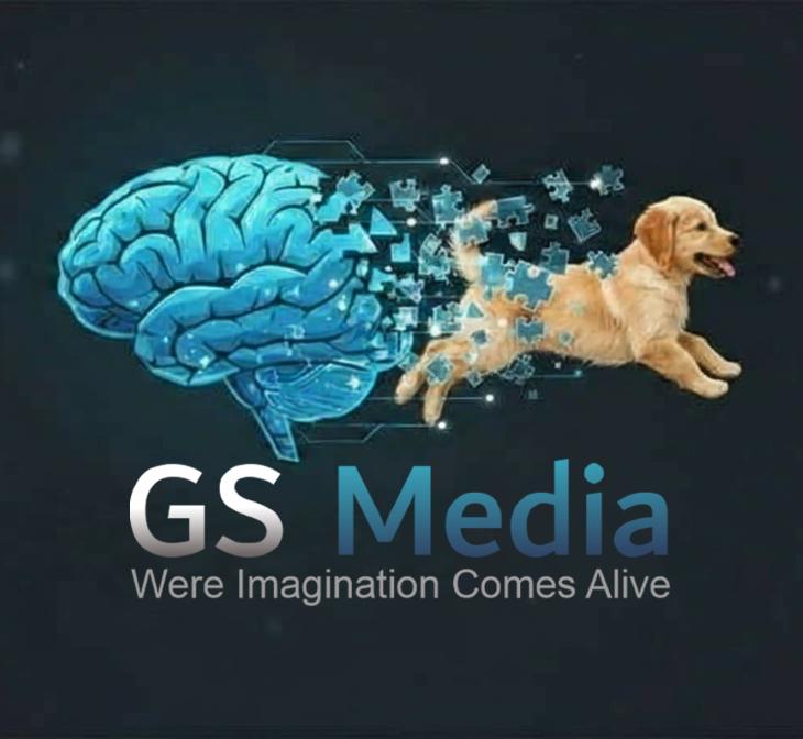 GS Media SWFL